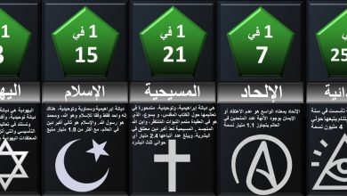 ديانة هيدي كرم والسيرة الذاتية ويكيبيديا 8 ديانة هيدي كرم والسيرة الذاتية ويكيبيديا